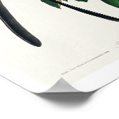 Flycatcher mit Gabel von Audubon Poster (Ecke)