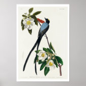 Flycatcher mit Gabel von Audubon Poster (Vorne)