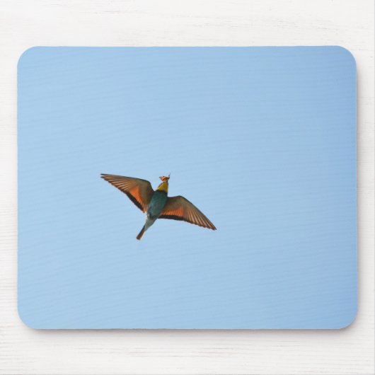 Flycatcher Mousepad (Vorne)