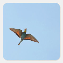 Flycatcher Quadratischer Aufkleber