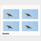 Flycatcher Rechteckiger Aufkleber (Blatt)