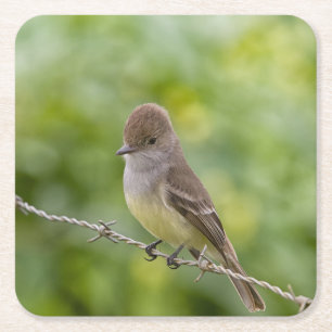 Flycatcher Rechteckiger Pappuntersetzer