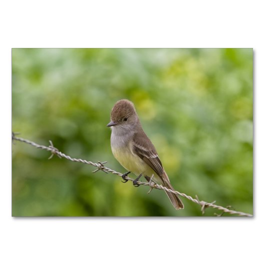 Flycatcher Tischnummer (Rückseite)