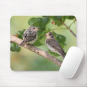 Flycatchers Mousepad (Mit Mouse)