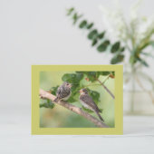 Flycatchers Postkarte (Stehend Vorderseite)