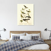 Flycatchers Warbler und Audubons Vögel von Amerika Leinwanddruck (Insitu (Schlafzimmer))