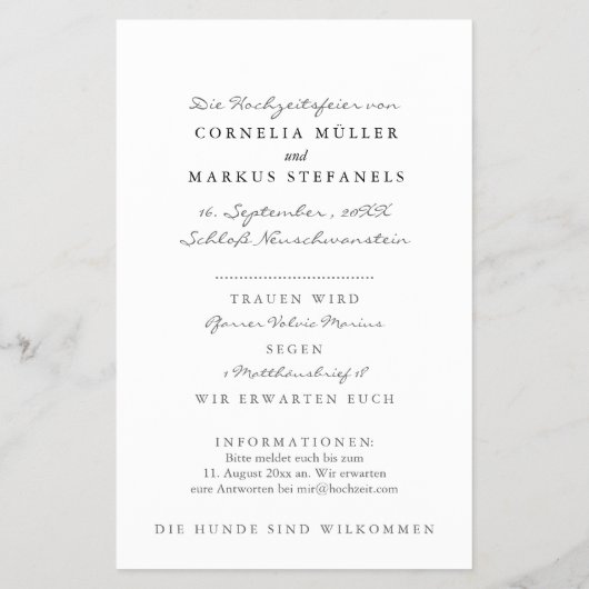Flyer (Hinten)