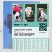 Flyer (Vorne/Hinten)