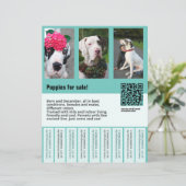 Flyer (Stehend Vorderseite)