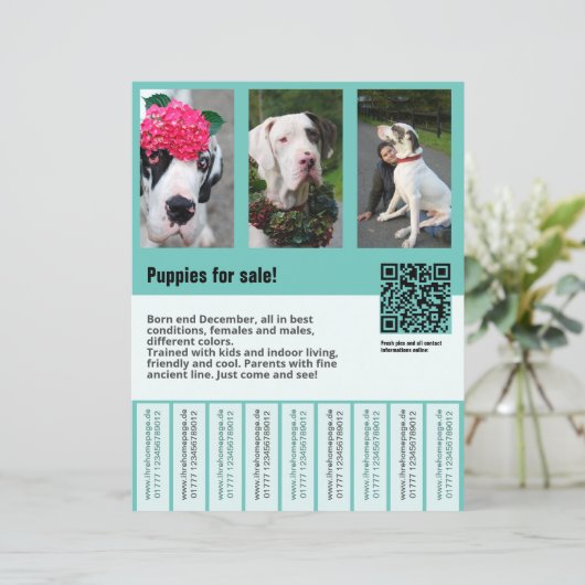 Flyer (Stehend Vorderseite)