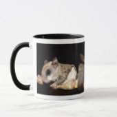 Flyer auf einer Niederlassung Tasse (Links)