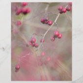 Flyer Blumen Garten (Hinten)