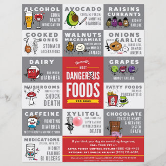 Flyer - die gefährlichste Nahrung für Hunde