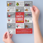 Flyer - die gefährlichste Nahrung für Hunde (Hand)