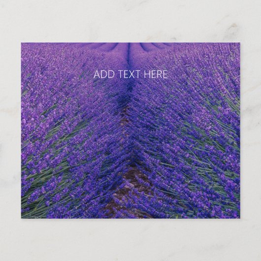 FLYER FÜR GESCHÄFTSFRAGEN: (Hinten)