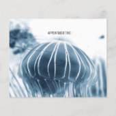 FLYER FÜR UNTERNEHMEN: JELLYFISH (Hinten)