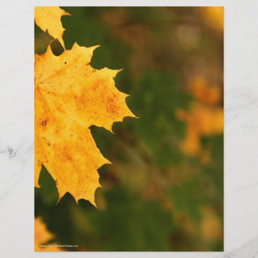 Flyer Herbstleaves Holiday Craft Bazaar (Hinten)