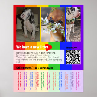 Flyer mit QR-Code für Welpe Poster