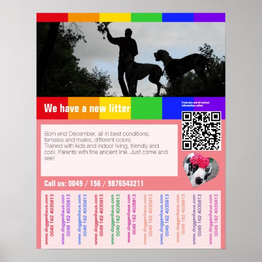 Flyer mit QR-Code für Welpe Poster (Vorne)