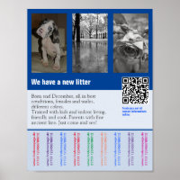 Flyer mit QR-Code für Welpe