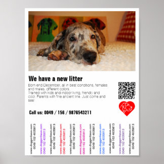 Flyer mit QR-Code für Welpe Poster