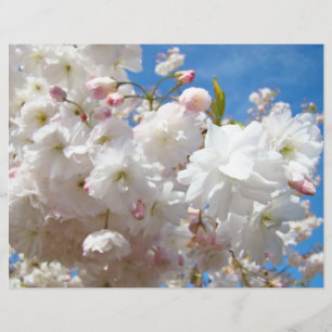 Flyer Papier Erstellen Sie Ihre eigenen benutzerde