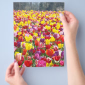 Flyer Papier Frühjahr Thema Tulip Blume (Hand)