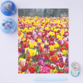 Flyer Papier Frühjahr Thema Tulip Blume (Einzeln)