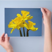 Flyer-Papier Gelbe Daffodische Blume Blue Sky Flyer (Hand)