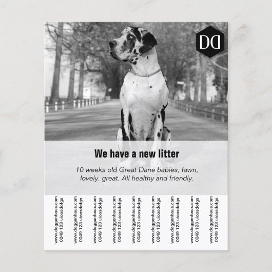 Flyer "Verkäufer" (Vorne)