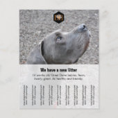 Flyer "Verkäufer" (Vorne)