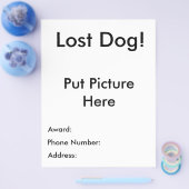 Flyer verloren (Einzeln)