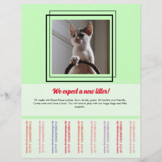 Flyer von Welpen verkaufen