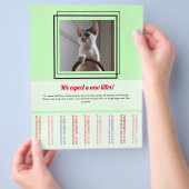 Flyer von Welpen verkaufen (Hand)