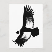 Flying Andean Condor Postkarte (Vorderseite)