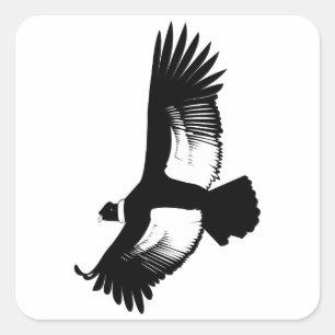 Flying Andean Condor Quadratischer Aufkleber