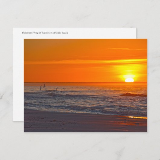 Flying at Sunrise, Florida Beach Postkarte (Vorne/Hinten)