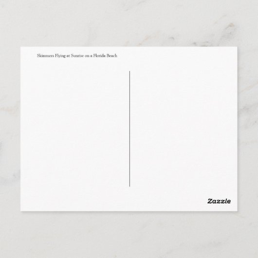 Flying at Sunrise, Florida Beach Postkarte (Rückseite)