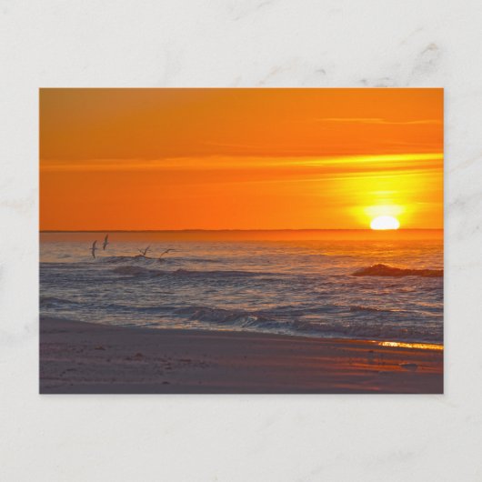 Flying at Sunrise, Florida Beach Postkarte (Vorderseite)