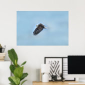 Flying Bald Eagle and Clouds Wildlife Foto Poster (Heimbüro)