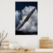 Flying Bald Eagle and Clouds Wildlife Foto Print2 Poster (Küche)
