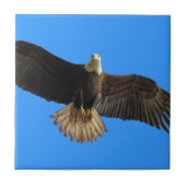 Flying Bald Eagle auf Blue Wildlife Gift Fliese (Vorderseite)