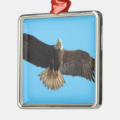 Flying Bald Eagle Bird of Prey Art Silbernes Ornament (Links)