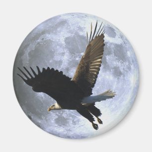 Flying BALD EAGLE & FULL MOON Wildlife Magnet