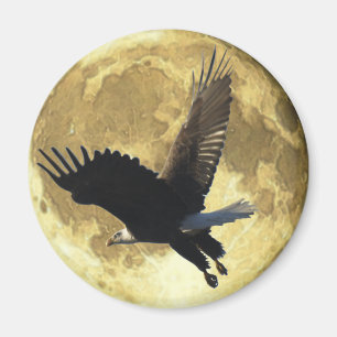 Flying BALD EAGLE & FULL MOON Wildlife Magnet