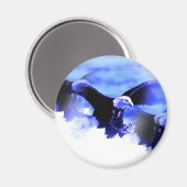 Flying Bald Eagle Magnet (Vorderseite/Rückseite)