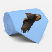 Flying Bald Eagle Wildife Foto Art Krawatte (Gerollt)