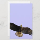 Flying Bald Eagle Wildlife Geschenk Briefpapier (Vorne/Hinten)