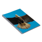 Flying Bald Eagle Wildlife Geschenk Notizblock (Rechte Seite)