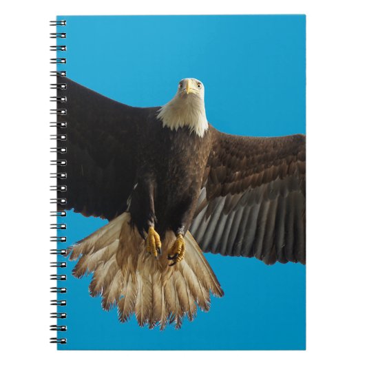 Flying Bald Eagle Wildlife Geschenk Notizblock (Vorderseite)